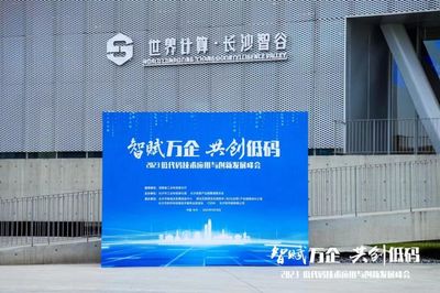 共创低代码,驱动数字经济创新发展,2023 低代码技术应用与创新发展峰会举行!